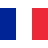 Language Flag